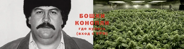 ПСИЛОЦИБИНОВЫЕ ГРИБЫ Балабаново