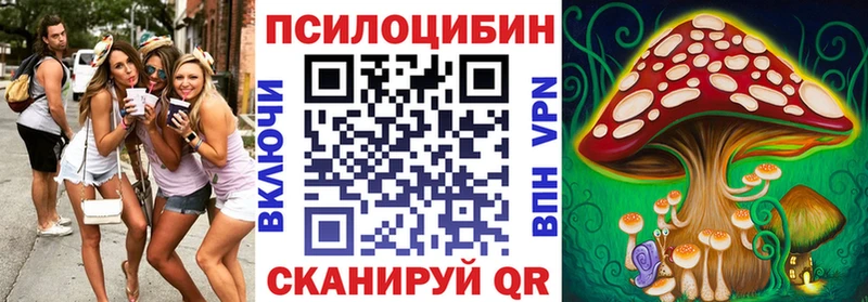 как найти закладки  Барабинск  Галлюциногенные грибы Psilocybe 