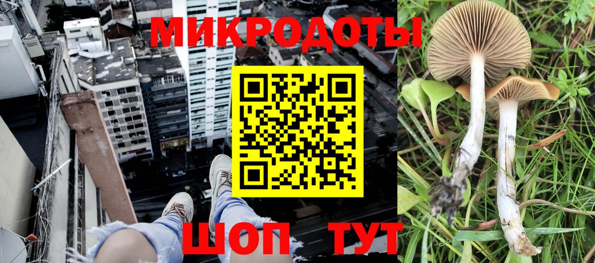 Галлюциногенные грибы MAGIC MUSHROOMS  Вход с VPN  Барабинск 